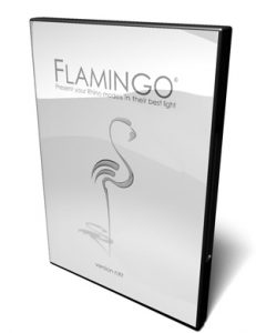 flamingo nxt